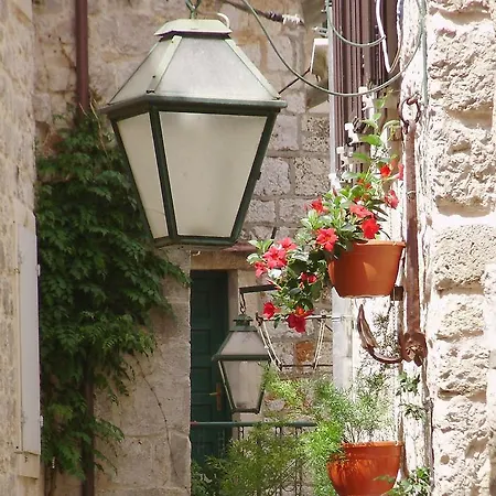 Primorac * Stari Grad (Hvar)